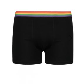 Férfi boxeralsó Frogies Rainbow-szivárványos L-es