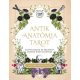 ANTIK ANATÓMIA TAROT