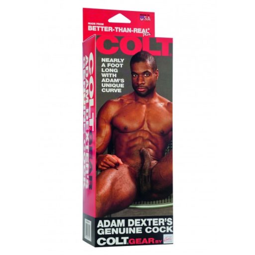 COLT - Adam Dexter Cock- Szupermenő Adam Dexter barna/néger izgató pénisze